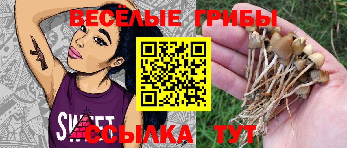 Галлюциногенные грибы прущие грибы  магазин продажи   Ирбит  Вход с VPN 